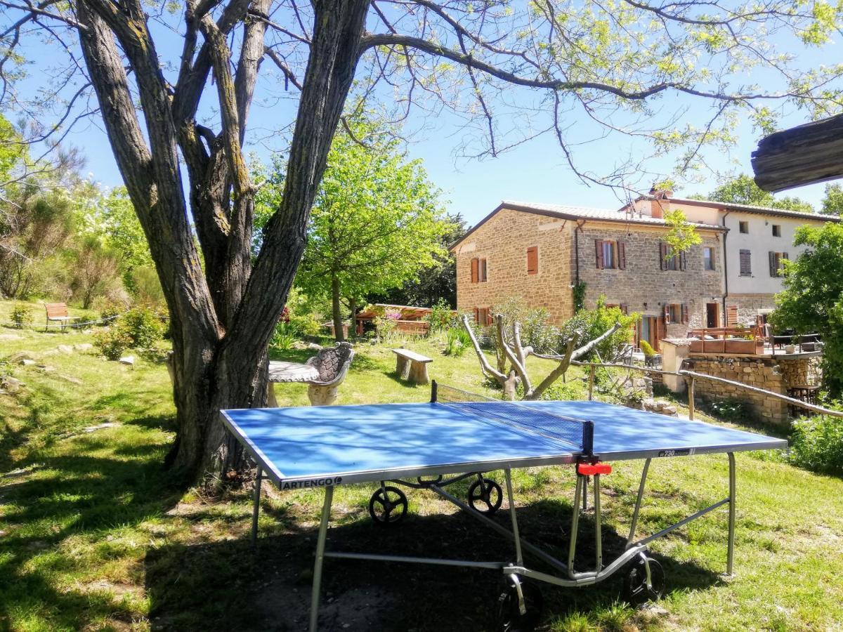 Le Ginestre Apartments Ассізі Екстер'єр фото
